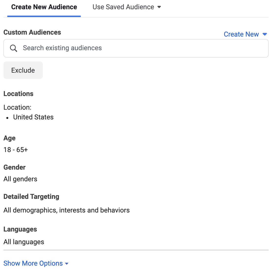 An image from Facebook's Ad Manager detailing the Create A New Audience options used to grow your Facebook ads account